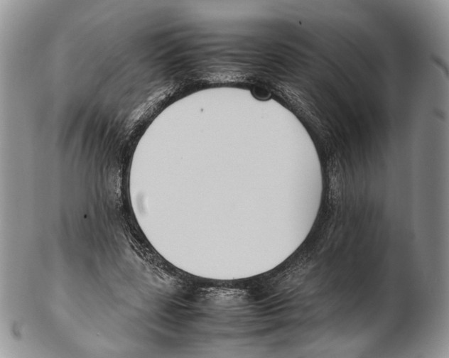 X0000102270539200808221440