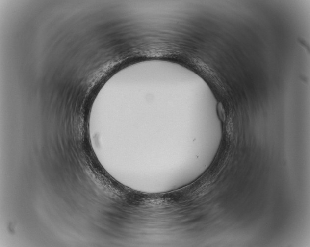 X0000102270540200808221440