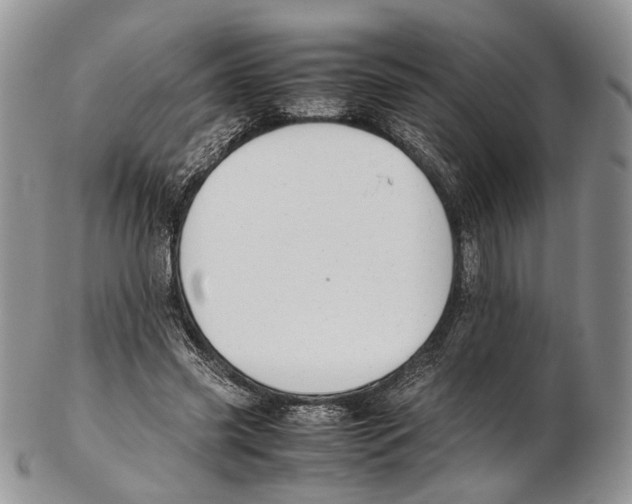 X0000102270541200808221440