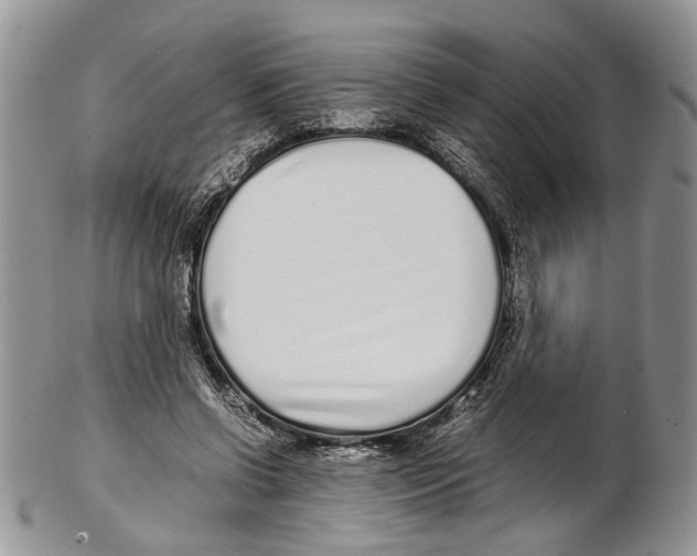 X0000102270542200808221440