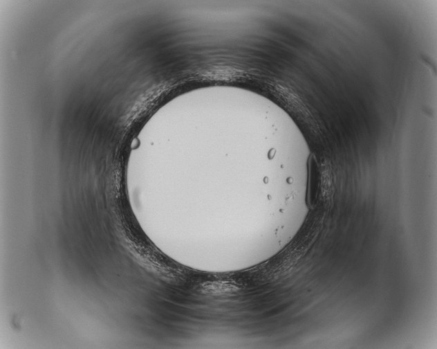 X0000102270544200808221440