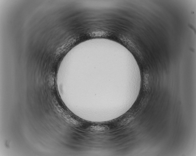 X0000102270545200808221440