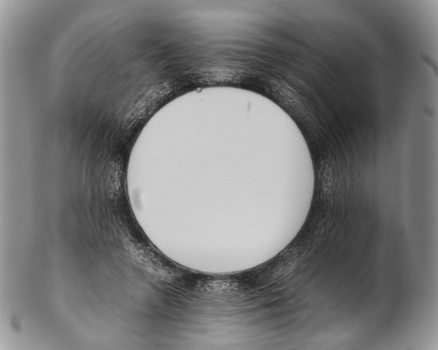 X0000102270546200808221440