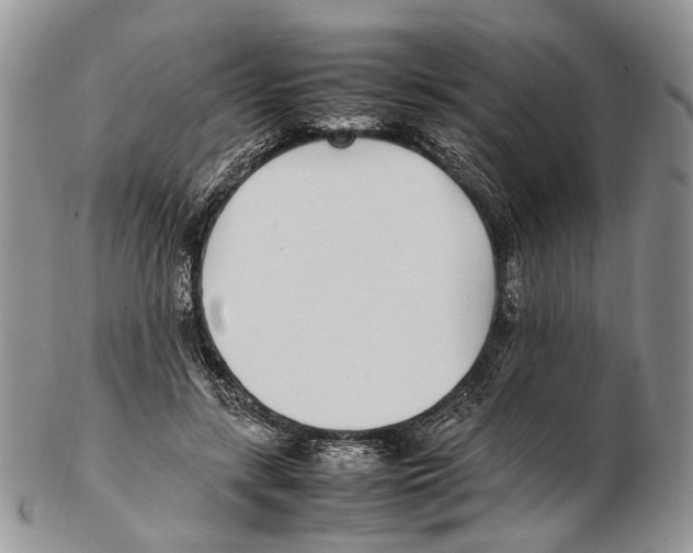 X0000102270547200808221440