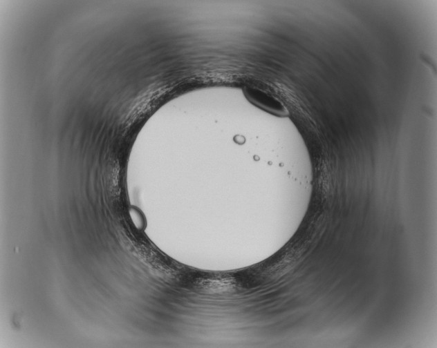 X0000102270548200808221440