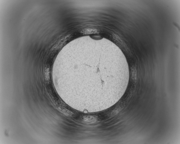 X0000102270549200808221440