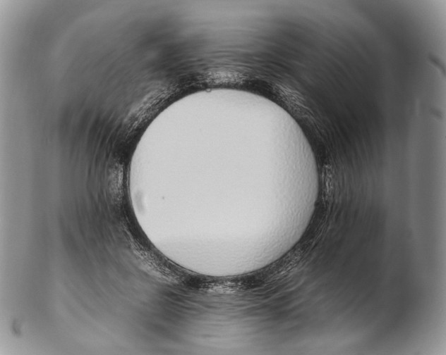 X0000102270550200808221440