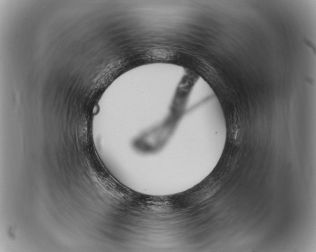 X0000102270552200808221440