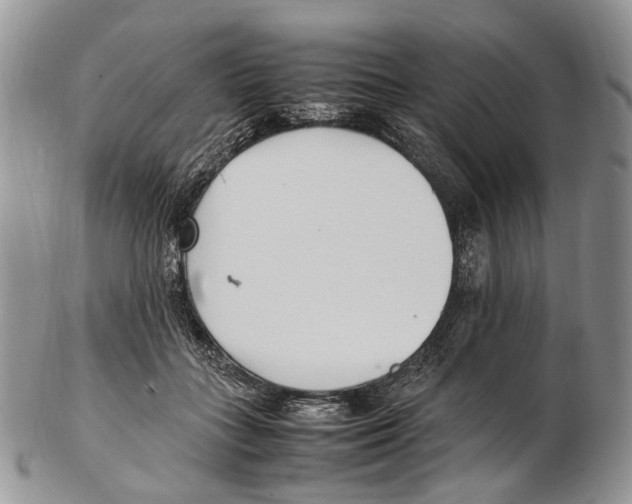 X0000102270555200808221440