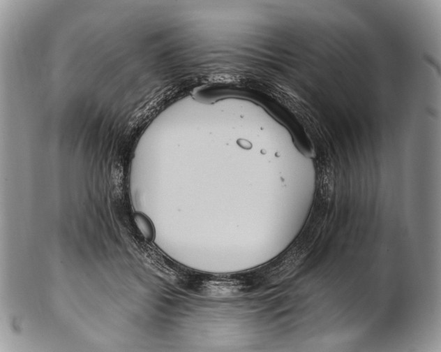 X0000102270556200808221440