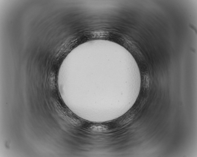 X0000102270557200808221440