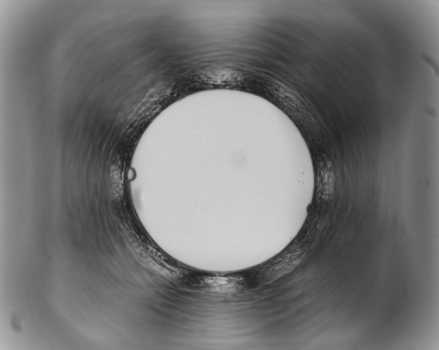 X0000102270558200808221440