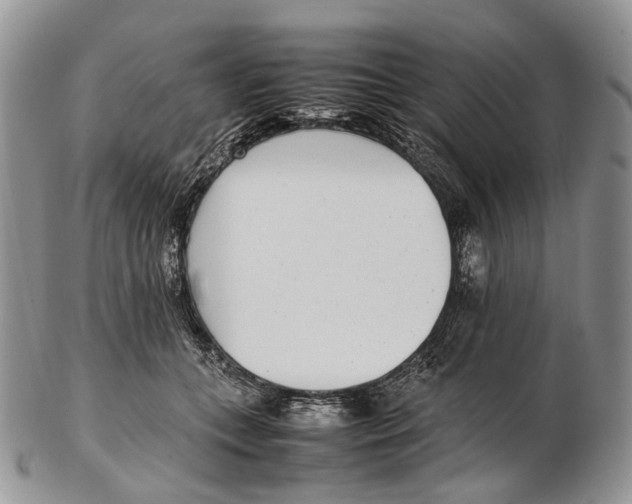 X0000102270559200808221440