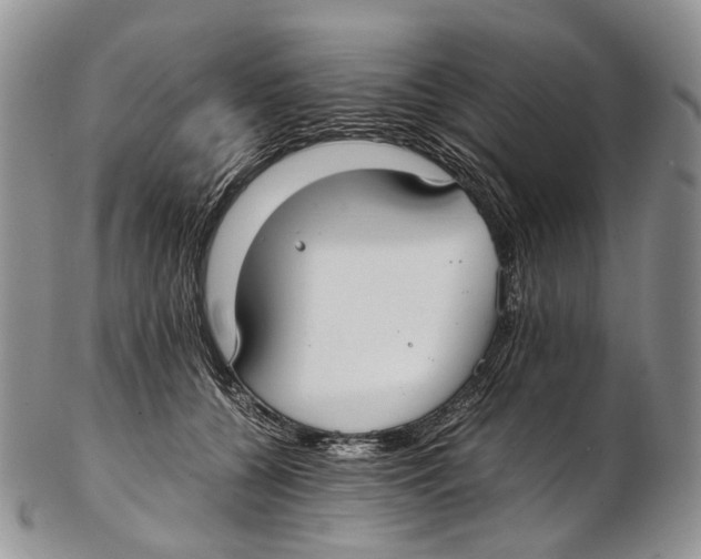 X0000102270560200808221440