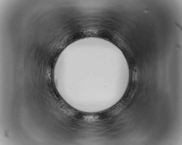 X0000102270561200808221440