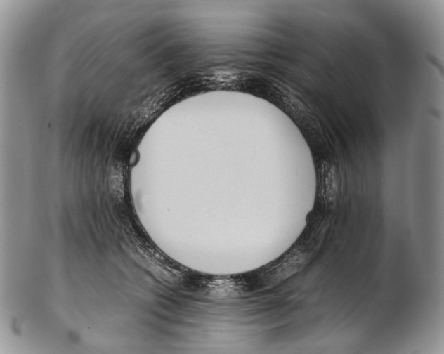 X0000102270562200808221440