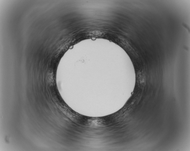 X0000102270564200808221440
