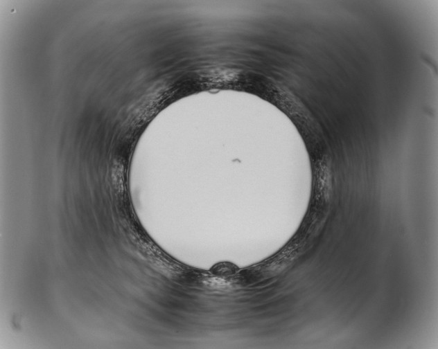 X0000102270565200808221440