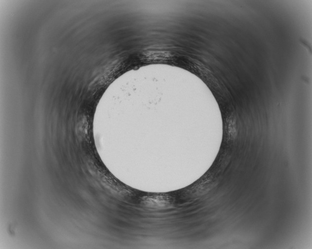 X0000102270567200808221440