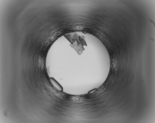 X0000102270568200808221440