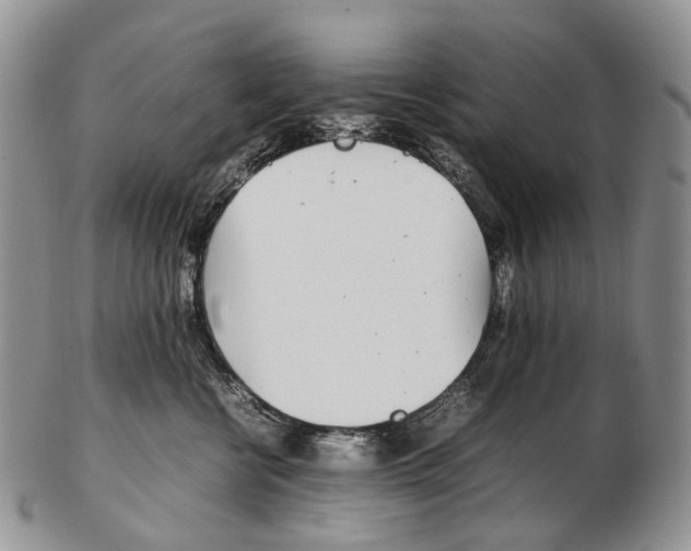 X0000102270570200808221440