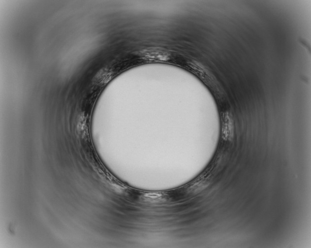 X0000102270573200808221440