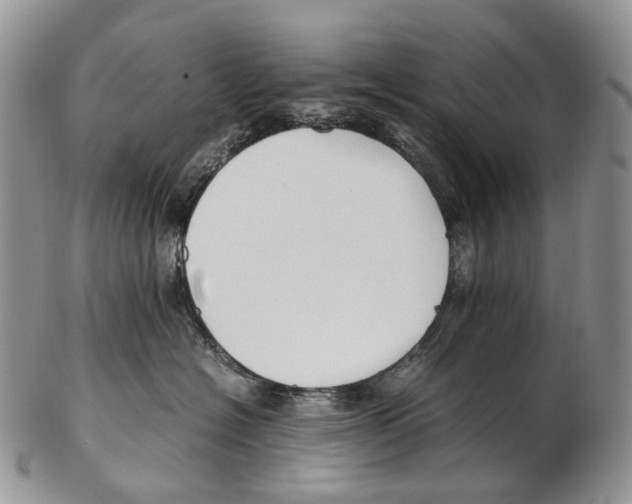 X0000102270574200808221440