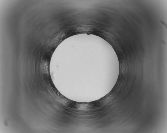X0000102270575200808221440