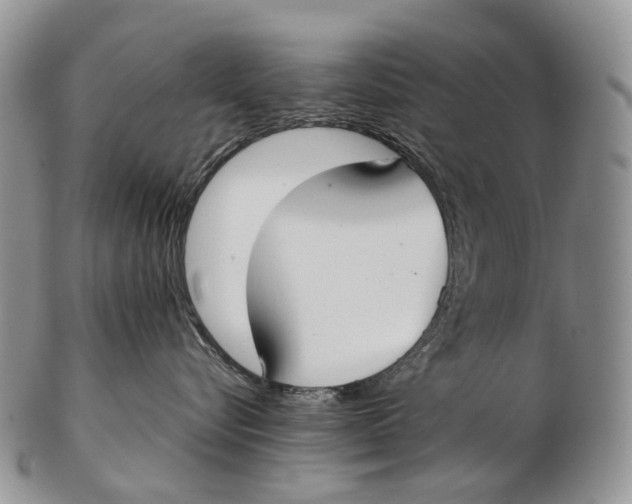 X0000102270576200808221440
