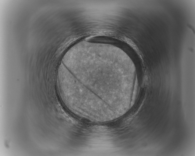 X0000102270577200808221440