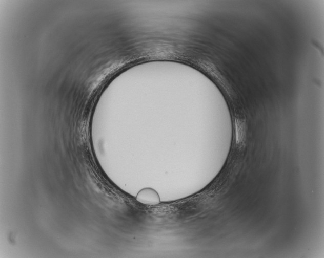 X0000102270579200808221440