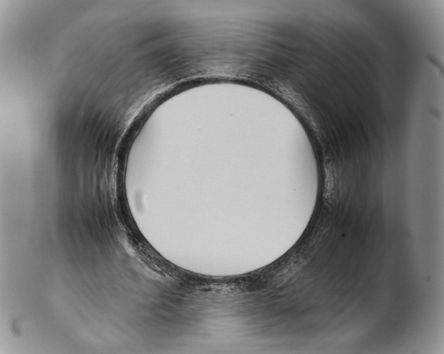 X0000102270580200808221439