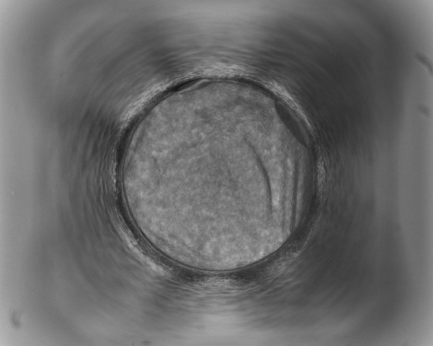X0000102270581200808221439