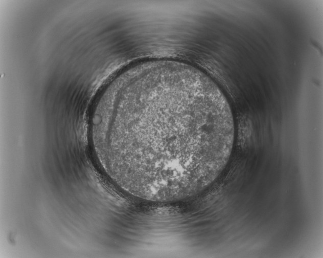 X0000102270584200808221439