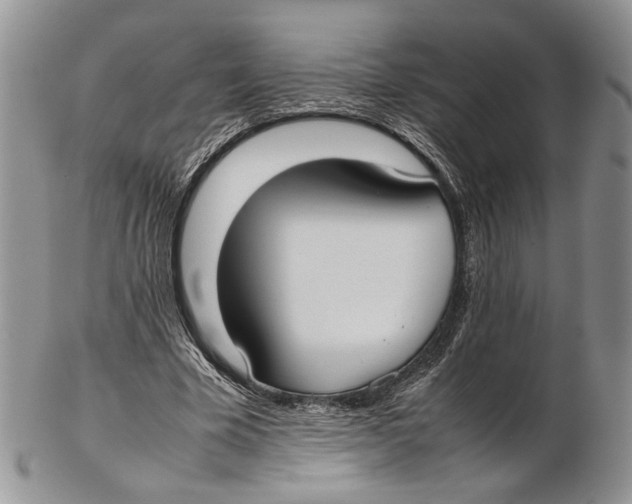 X0000102270585200808221439