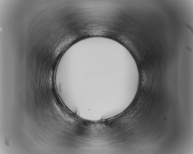 X0000102270586200808221439