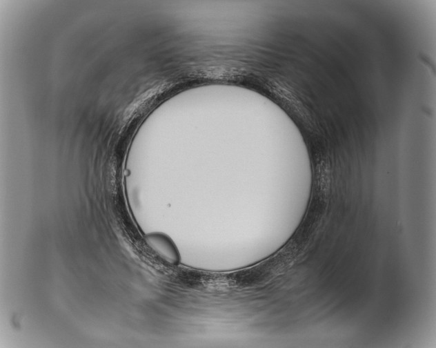 X0000102270587200808221439