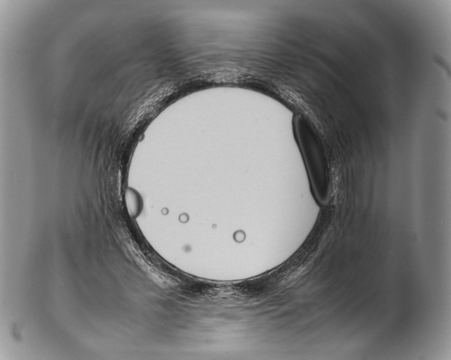 X0000102270589200808221439