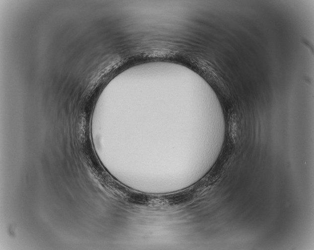 X0000102270591200808221439