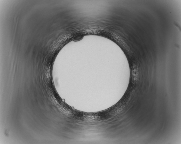 X0000102270593200808221439