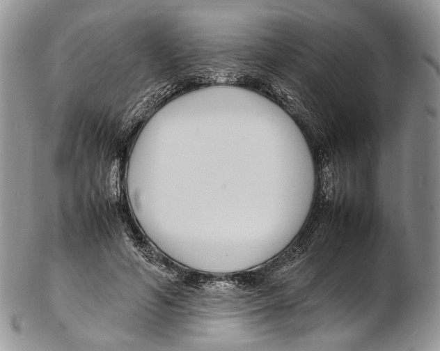 X0000102270594200808221439