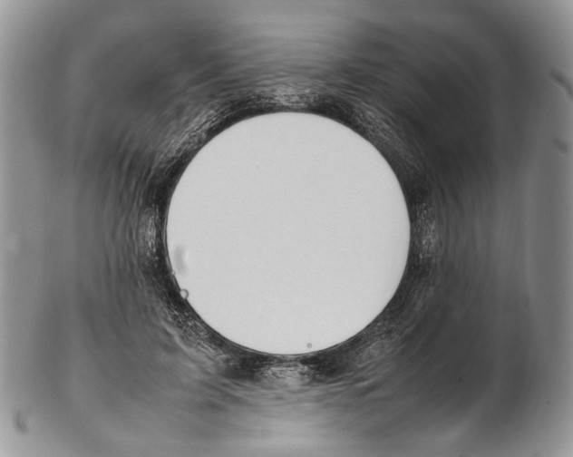 X0000102270595200808221439