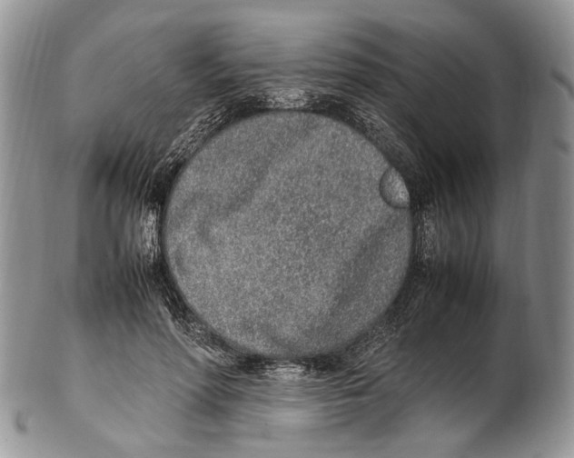 X0000102270598200808221439