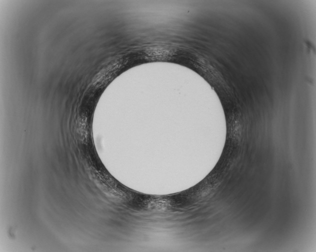 X0000102270599200808221439