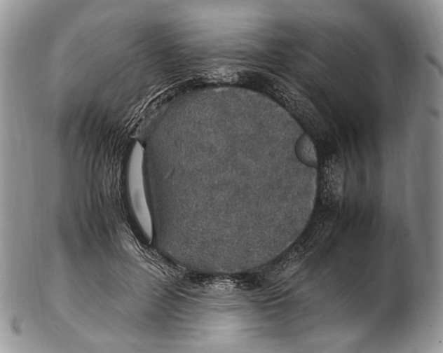 X0000102270600200808221439