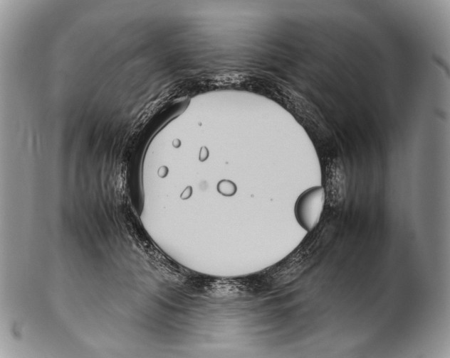 X0000102270608200808221439