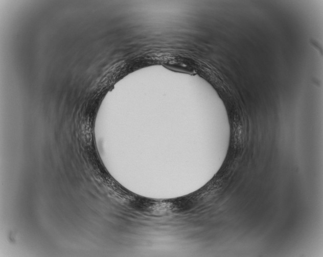X0000102270609200808221439