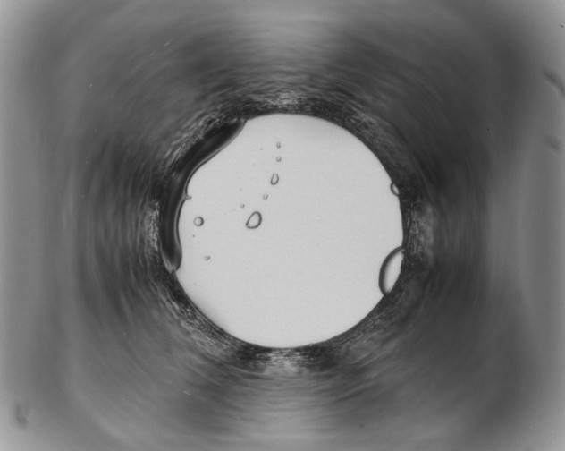 X0000102270612200808221439