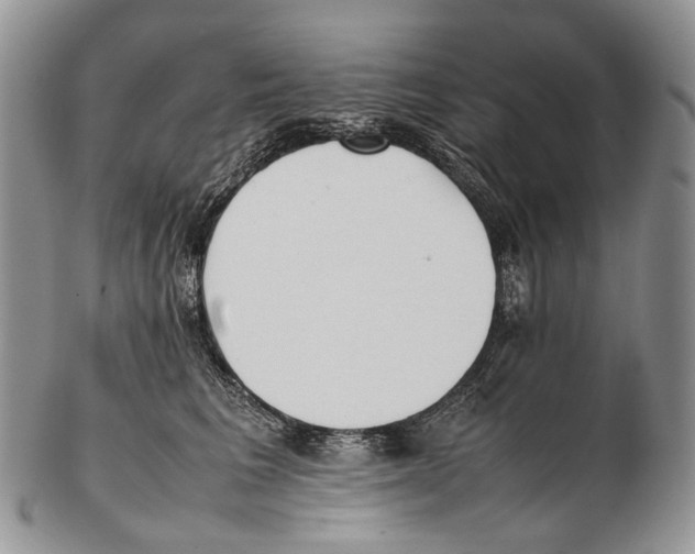 X0000102270613200808221439