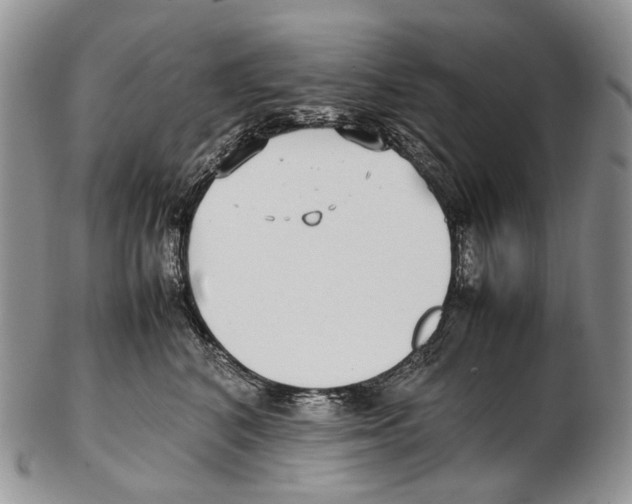 X0000102270616200808221439